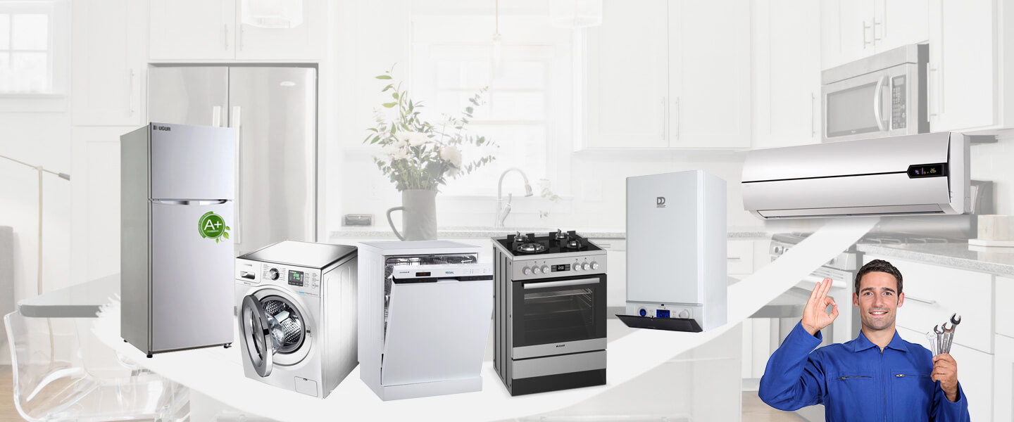 Poligon Electrolux Servisi