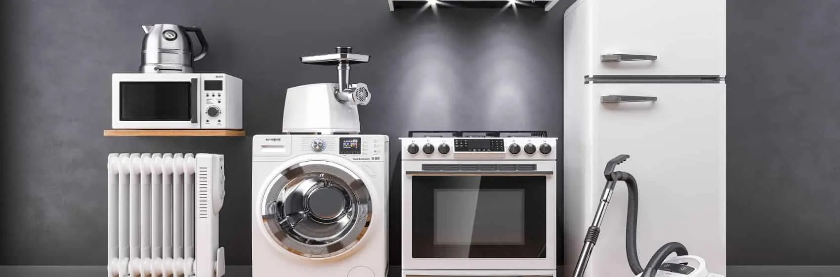 Poligon Electrolux Kombi Servisi